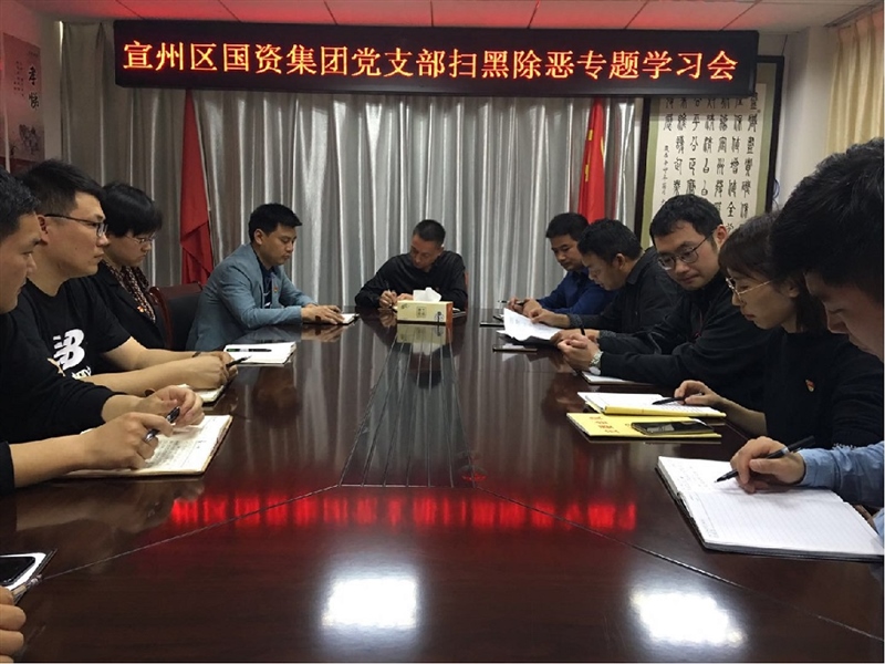 宣州區(qū)國資集團(tuán)召開掃黑除惡專題學(xué)習(xí)會(圖1)